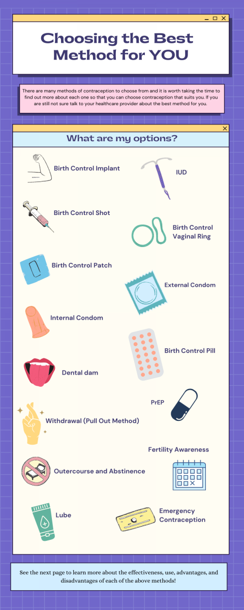Birth control implant, IUD, birth control shot, vaginal ring, birth control patch, external condom, internal condom, birth control pill, dental dam, PrEP, withdrawal (pull out method), outercourse and abstinence, fertility awareness, lube, or emergency contraception