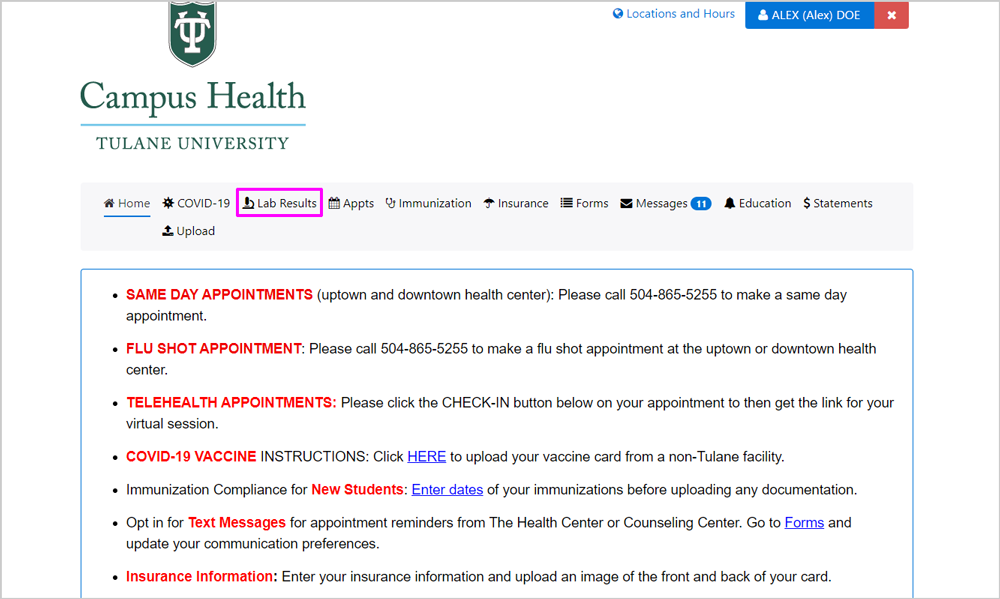 Screenshot of Patient Portal homepage with "Lab Results" highlighted
