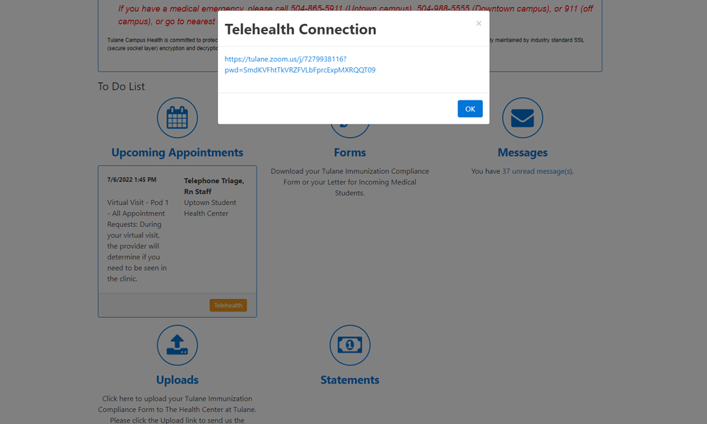 Screenshot of pop-up window with telehealth appointment Zoom link