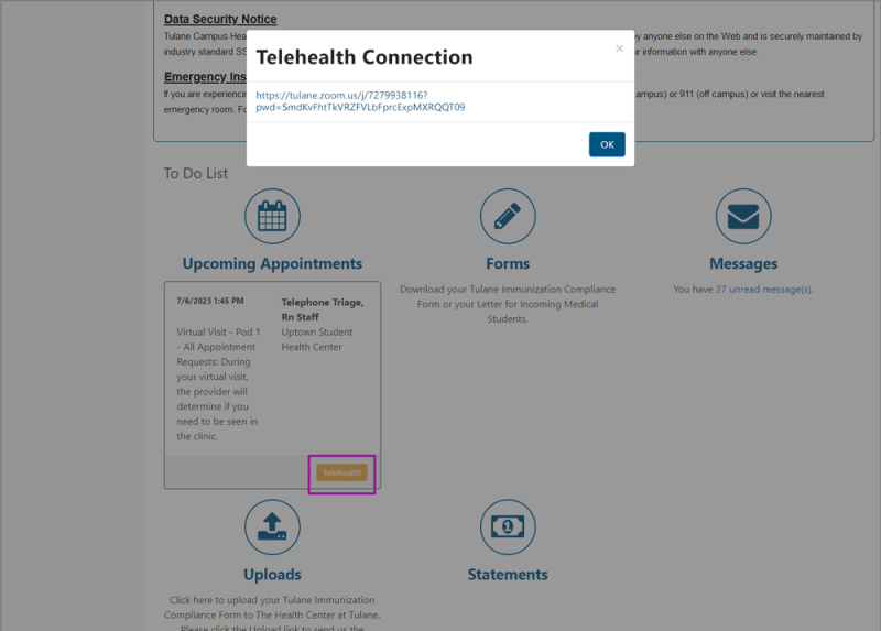 Screenshot of pop-up labelled "Telehealth Connection", with the Zoom link for your provider's waiting room Screenshot of pop-up labelled "Telehealth Connection", with the Zoom link for your provider's waiting room