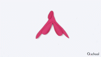 Animated diagram of the anatomy of the clitoris: head, outer wings, and inner bulbs