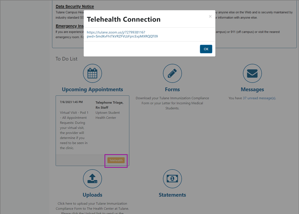 Screenshot of pop-up labelled "Telehealth Connection", with the Zoom link for your provider's waiting room